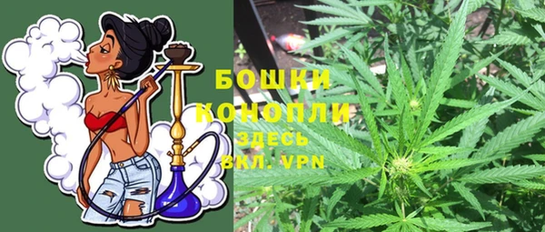 стаф Волосово