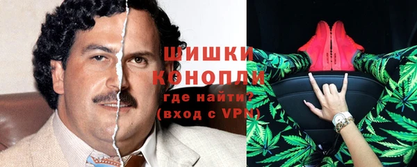 стаф Волосово