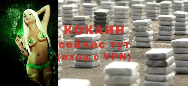 стаф Волосово