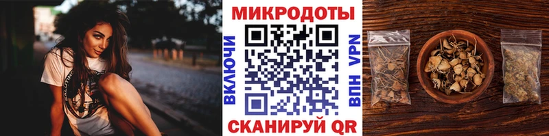 Псилоцибиновые грибы мицелий  KRAKEN рабочий сайт  Инза 